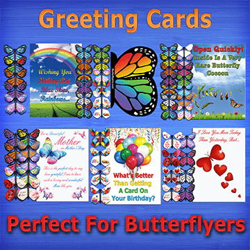 Greeting Card with wind up flying butterfly from butterflyers.com