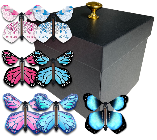 Gender Reveal Flying Butterfly Box - Black Box With 4 Wind Up Flying Butterflies From Butterflyers.com