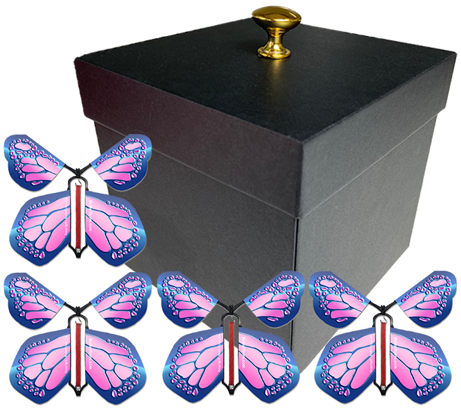 Gender Reveal Surprise Flying Butterfly Box - Black Box With 4 Cobalt Pink Monarch Wind Up Flying Butterflies From Butterflyers.com