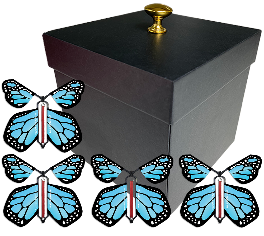 Gender Reveal Surprise Flying Butterfly Box - Black Box With 4 Blue Monarch Wind Up Flying Butterflies From Butterflyers.com