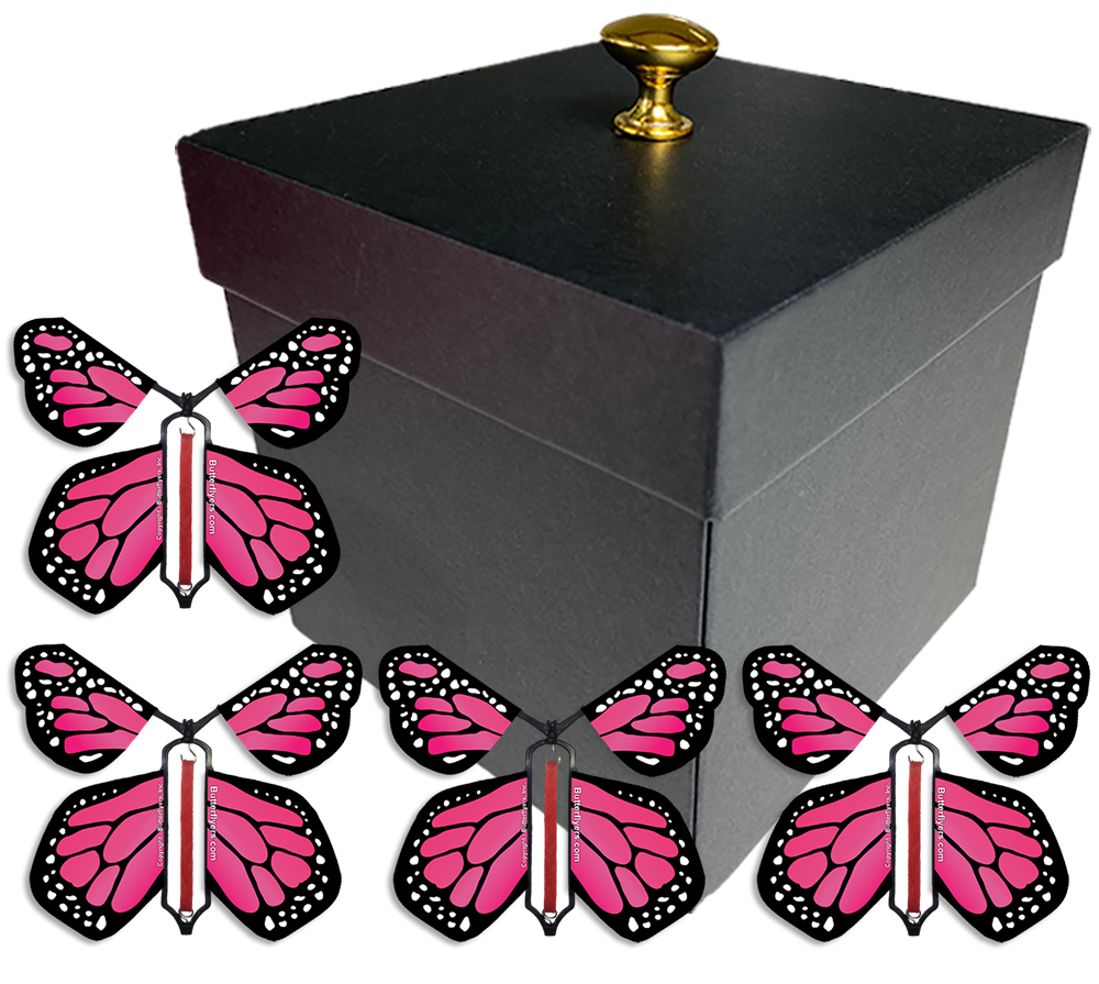Gender Reveal Surprise Flying Butterfly Box - Black Box With 4 Pink Monarch Wind Up Flying Butterflies From Butterflyers.com