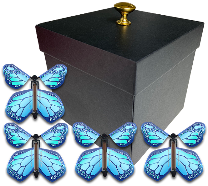 Gender Reveal Surprise Flying Butterfly Box - Black Box With 4 Cobalt Blue Monarch Wind Up Flying Butterflies From Butterflyers.com