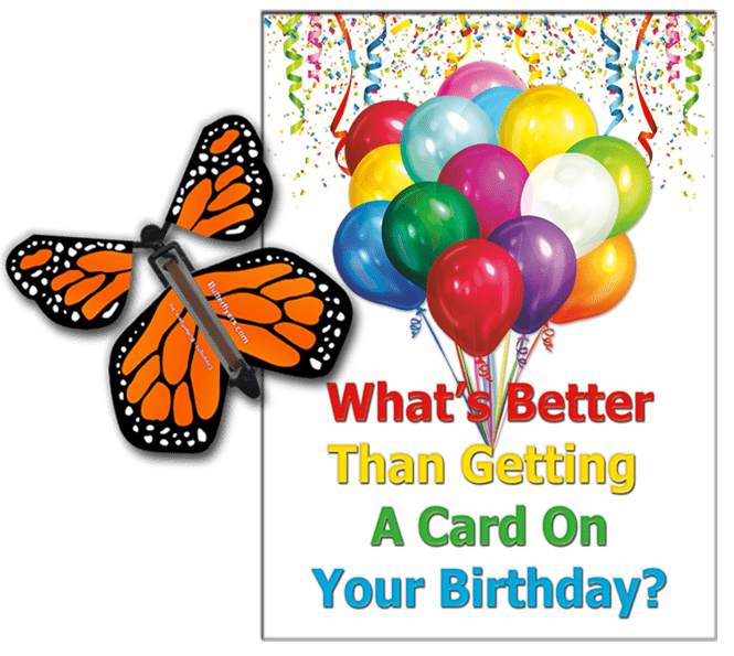 Birthday Greeting Card with Orange Monarch wind up flying butterfly from butterflyers.com