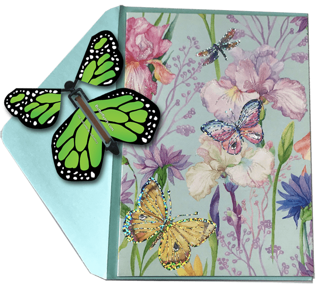 Blank Butterfly greeting card with Green monarch flying butterfly from butterflyers.com