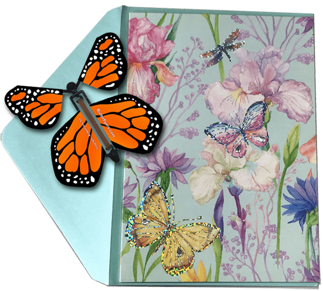 Blank Butterfly greeting card with Orange monarch flying butterfly from butterflyers.com