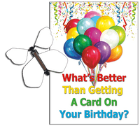 
              Birthday Greeting Card with Blank Birthday wind up flying butterfly from butterflyers.com
            