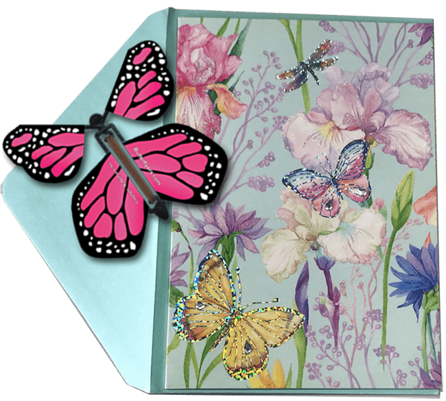 Blank Butterfly greeting card with Pink monarch flying butterfly from butterflyers.com