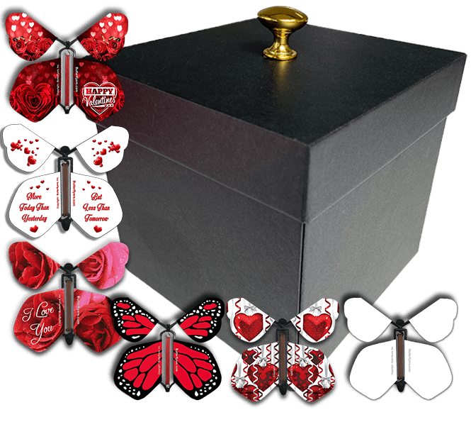 Recollections Large Black Memory Explosion Box - Each
