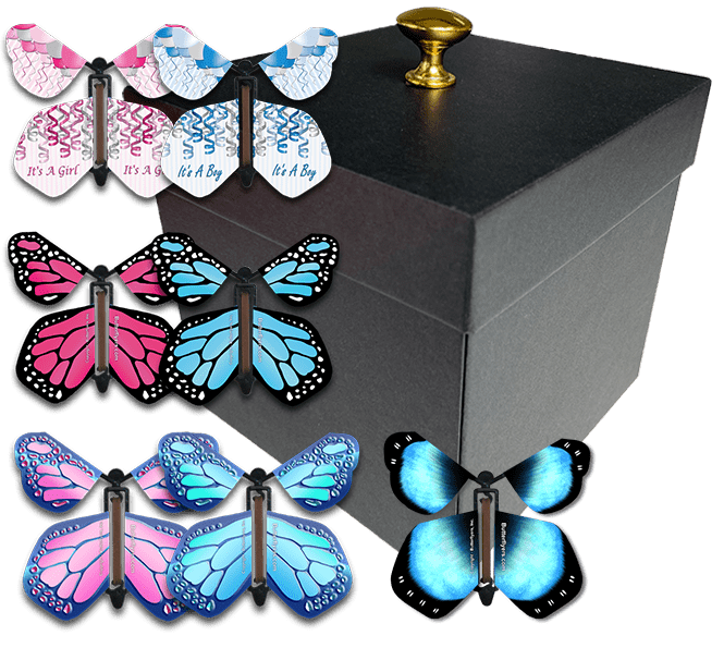 BUTTERFLYERS! Blue Exploding Butterfly Box with Birthday Flying Butterflies (Birthday Gifts Flying Butterfly x 4)
