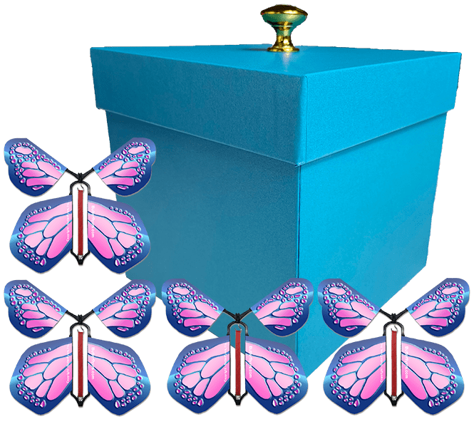 Blue Exploding Butterfly Gift Box With 4 Cobalt Pink Wind Up Flying Butterflies from butterflyers.com