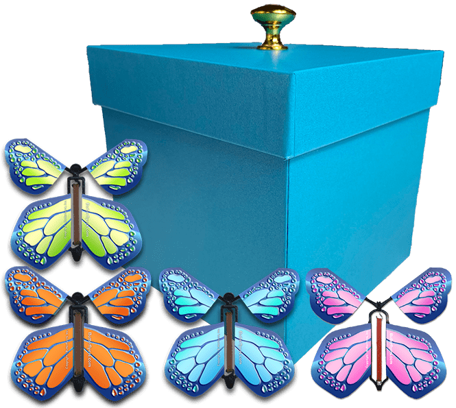 Blue Exploding Butterfly Gift Box With 4 Multi Cobalt Color Wind Up Flying Butterflies from butterflyers.com