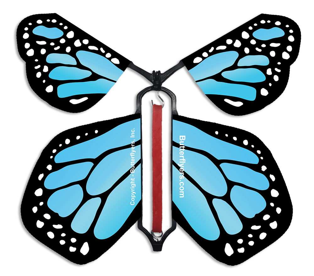 Sky Blue Monarch Wind Up Flying Butterfly For Greeting Cards by Butterflyers.com