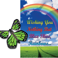 Blue Sky Rainbow greeting card with green flying butterfly from butterflyers.com