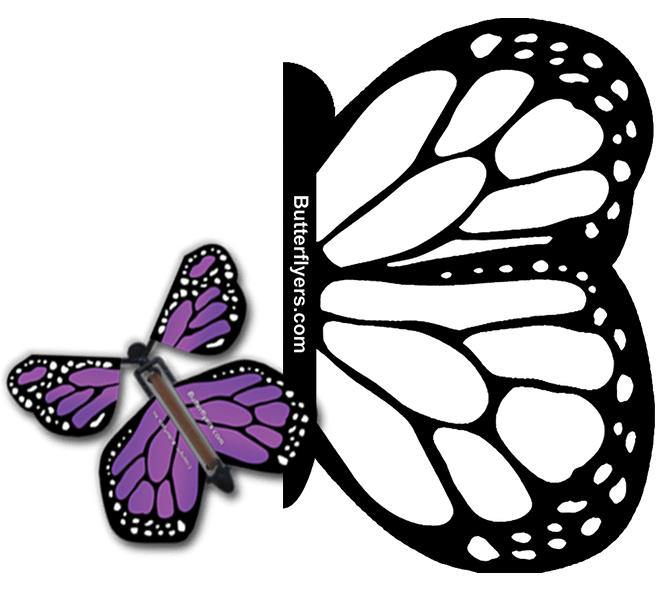 Color Me Monarch Exploding Butterfly Card with Purple Monarch wind up flying butterfly from butterflyers.com