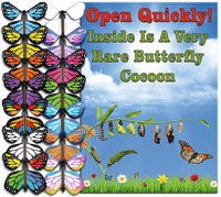 
              Rare Cocoon Butterfly greeting card with wind up flying butterfly from butterflyers.com
            