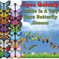 Rare Cocoon Butterfly greeting card with wind up flying butterfly from butterflyers.com