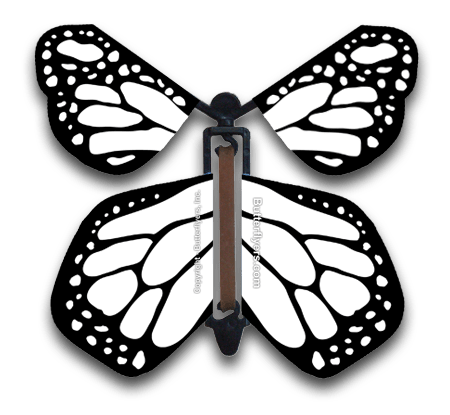 Color Me Monarchy Wind Up Flying Butterfly For Greeting Cards by Butterflyers.com