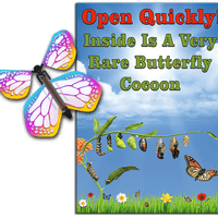 Rare Cocoon Butterfly greeting card with Bismuth wind up flying butterfly from butterflyers.com
