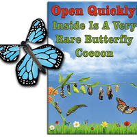 Rare Cocoon Butterfly greeting card with Blue wind up flying butterfly from butterflyers.com