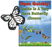 
              Rare Cocoon Butterfly greeting card with White wind up flying butterfly from butterflyers.com
            