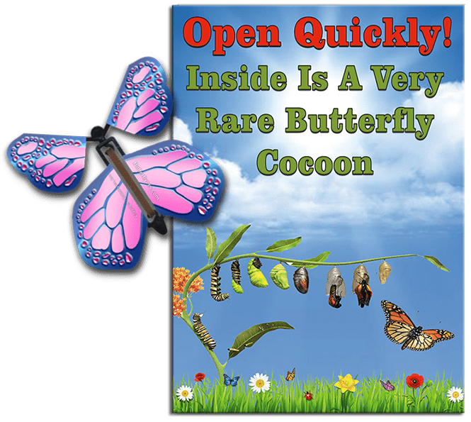 Rare Cocoon Butterfly greeting card with Cobalt Pink wind up flying butterfly from butterflyers.com