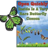 Rare Cocoon Butterfly greeting card with Green wind up flying butterfly from butterflyers.com