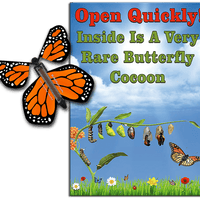 Rare Cocoon Butterfly greeting card with Orange wind up flying butterfly from butterflyers.com