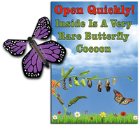 
              Rare Cocoon Butterfly greeting card with Purple wind up flying butterfly from butterflyers.com
            