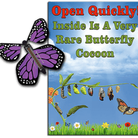 Rare Cocoon Butterfly greeting card with Purple wind up flying butterfly from butterflyers.com
