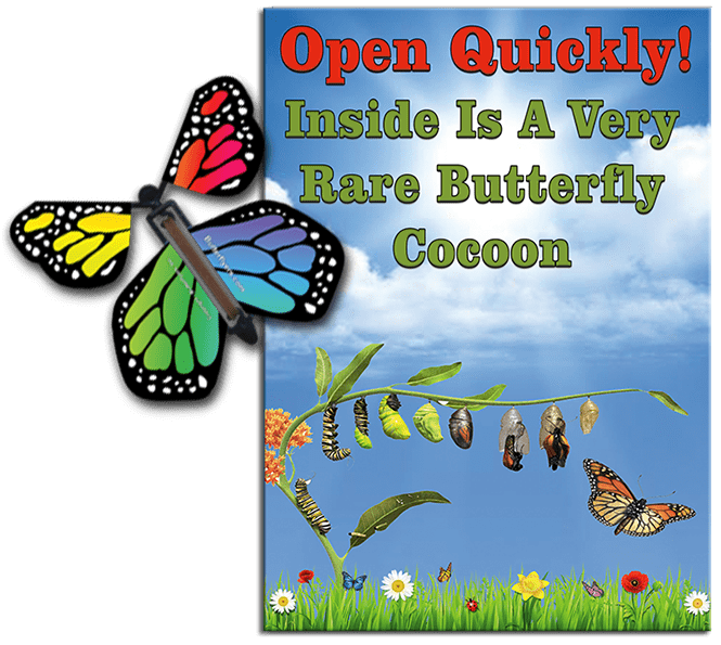 Rare Cocoon Butterfly greeting card with Rainbow wind up flying butterfly from butterflyers.com