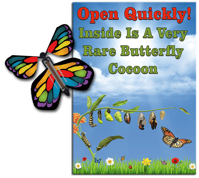 Rare Cocoon Butterfly greeting card with Stained Glass wind up flying butterfly from butterflyers.com