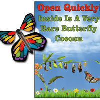 Rare Cocoon Butterfly greeting card with Stained Glass wind up flying butterfly from butterflyers.com