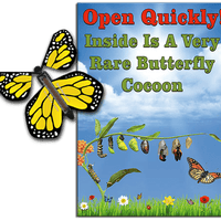 Rare Cocoon Butterfly greeting card with Yellow wind up flying butterfly from butterflyers.com