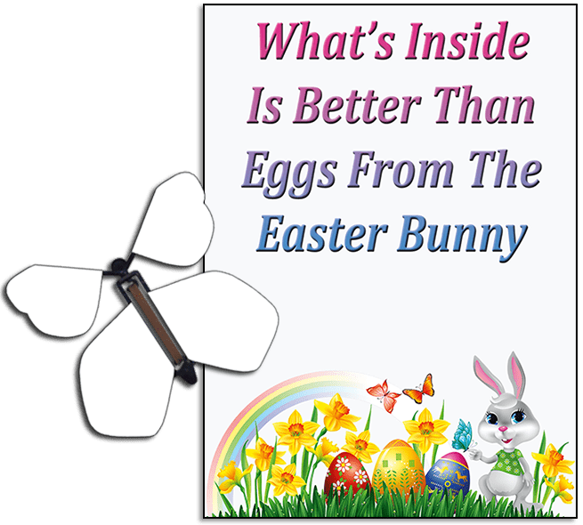 Easter Bunny Butterfly greeting card and Blank flying butterfly rom butterflyers.com