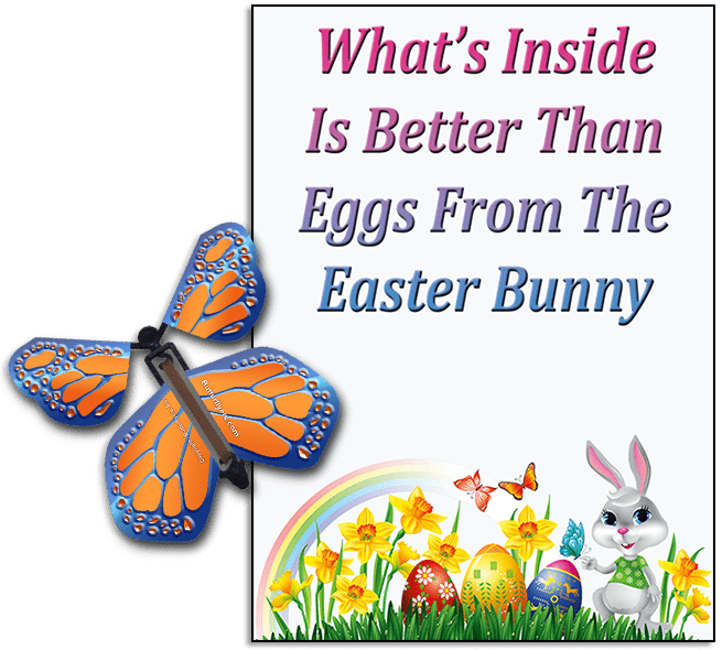 Easter Bunny Butterfly greeting card and Cobalt Orange flying butterfly from butterflyers.com