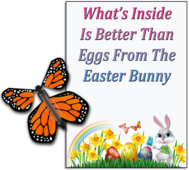 Easter Bunny Butterfly greeting card and Orange flying butterfly from butterflyers.com
