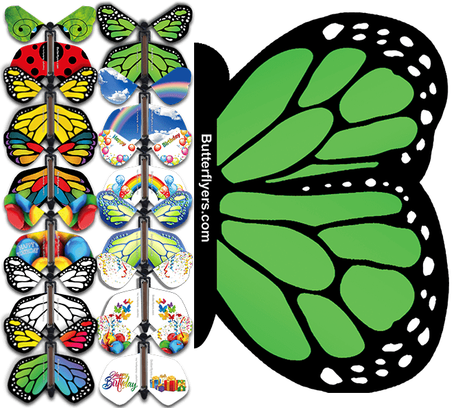 Surprise Flying Monarch Butterfly Greeting Card - Green Card With Surprise Flying Monarch Butterfly Greeting Card - Green Card With