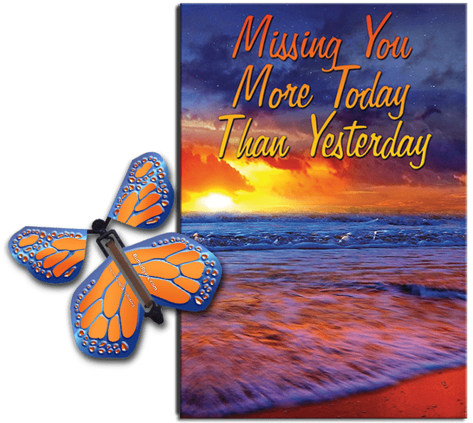 Miss You Much greeting card with Cobalt Orange flying butterfly from butterflyers.com