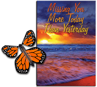 
              Miss You Much greeting card with Orange flying butterfly from butterflyers.com
            