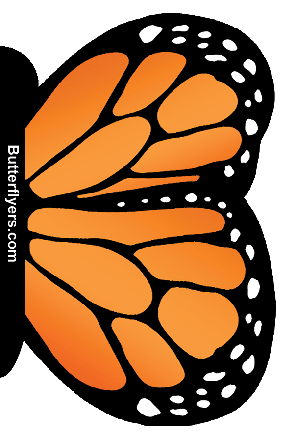 Orange Monarch Butterfly Greeting Card With Wind Up Flying Butterfly 