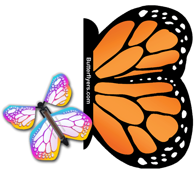 Orange Monarch Exploding Butterfly Card with Bismuth Monarch wind up flying butterfly from butterflyers.com
