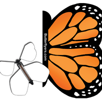 Orange Monarch Exploding Butterfly Card with Blank wind up flying butterfly from butterflyers.com