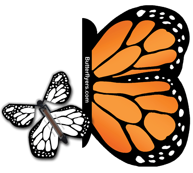 Orange Monarch Exploding Butterfly Card with White wind up flying butterfly from butterflyers.com