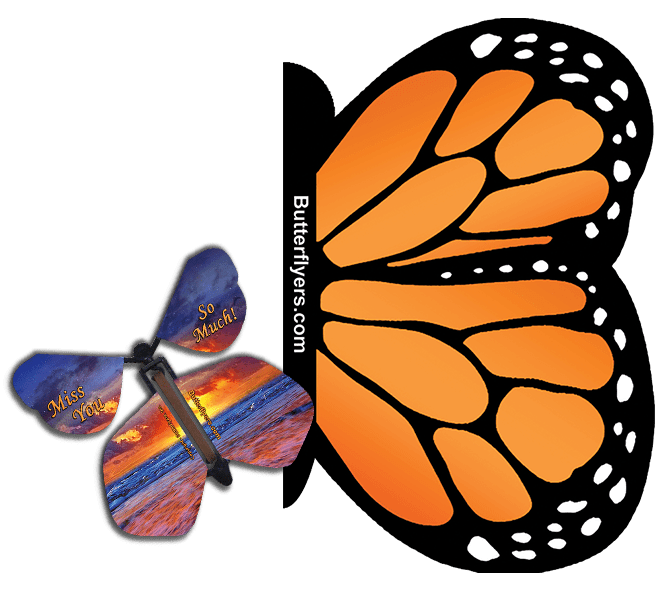 Orange Monarch Exploding Butterfly Card with Miss You Much wind up flying butterfly from butterflyers.com