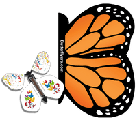 
              Orange Monarch Exploding Butterfly Card with Surprise wind up flying butterfly from butterflyers.com
            