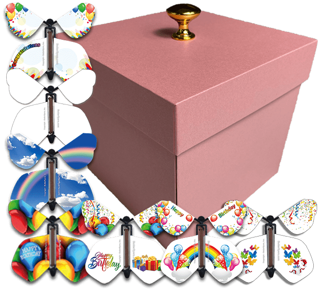 DIY : Flying Butterfly Gift Box, Surprise Birthday Gift Box