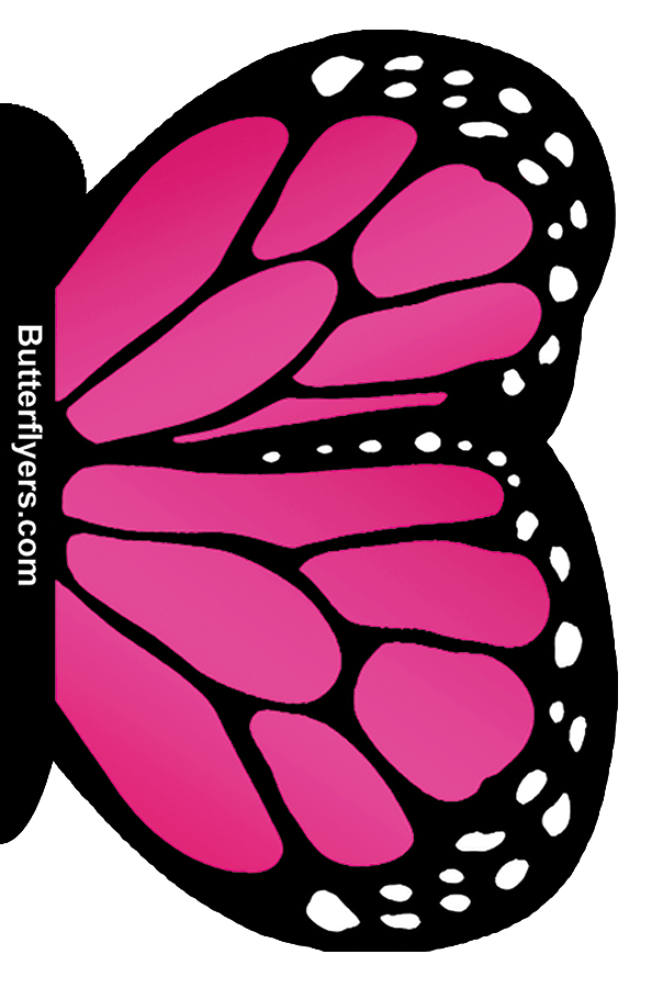 Pink Monarch Exploding Flying Butterfly Booklet From Butterflyers.com