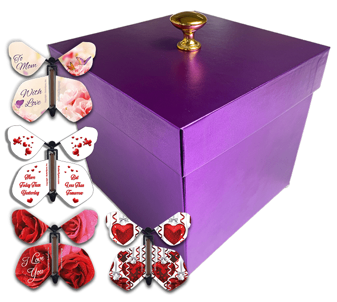 BUTTERFLYERS! Red Valentines Day Exploding Butterfly Box with Flying Butterflies (Big Hearts Flying Butterfly x 4)
