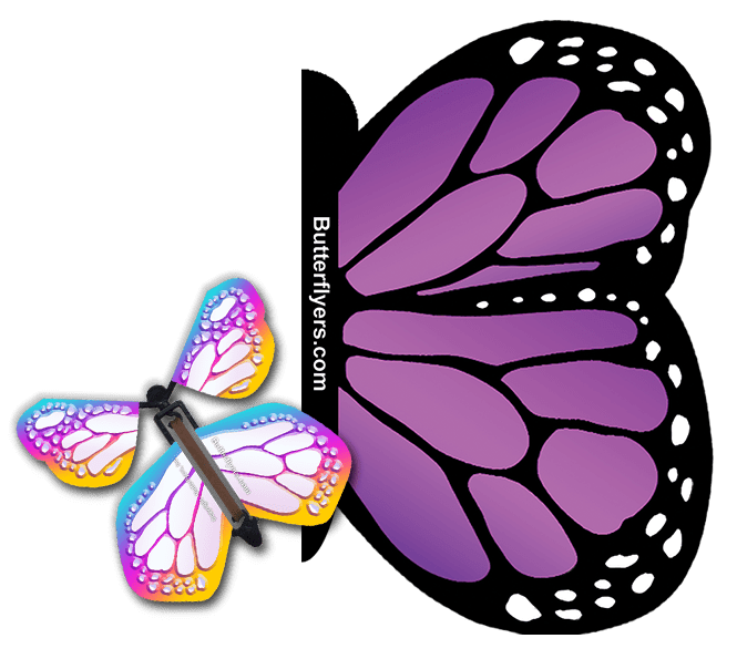 Purple Monarch Exploding Butterfly Card with Bismuth Monarch wind up flying butterfly from butterflyers.com