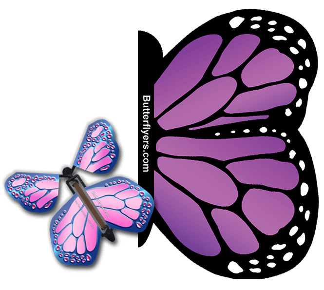 Purple Monarch Exploding Butterfly Card with Cobalt Pink Monarch wind up flying butterfly from butterflyers.com